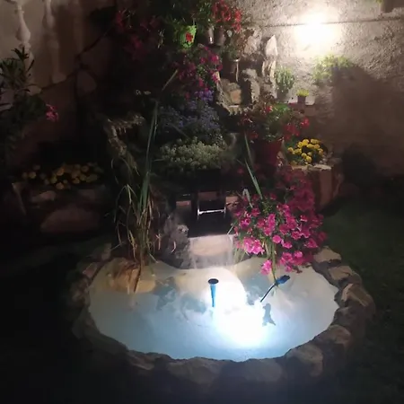 Jelena تريبينيي