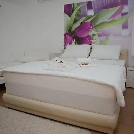 شقة Jelena تريبينيي