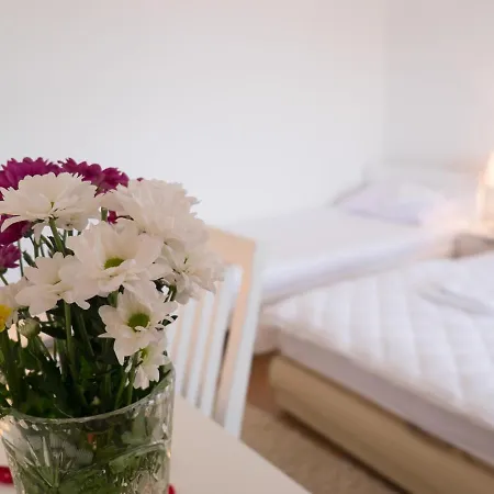 Jelena شقة تريبينيي