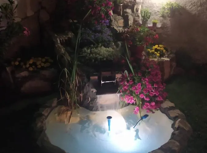 Jelena טרביניה